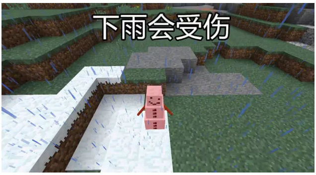 ҵѩЩ÷