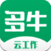 ţ