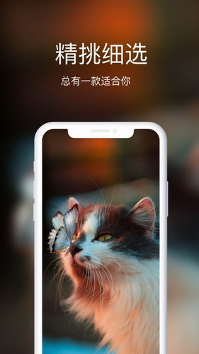 ��ֽ����1