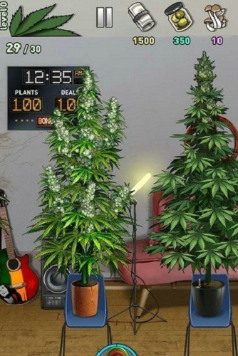 114