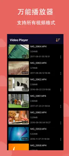 ȫ�ܸ�����Ƶ������ (1)