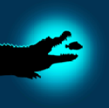 ϲ