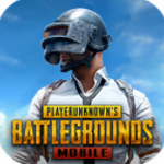 pubgmobʷ