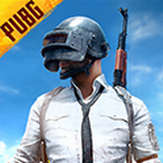 pubgʷ