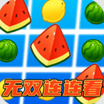 ˫