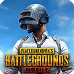 pubgʷذװ