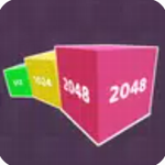 龺2048
