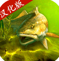ҵĵƽ޽