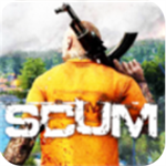 scumİ