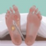 ʽ޽Ŵʦƽ°