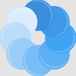 bluecoins