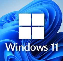 win11ʽ v11.2.5 °