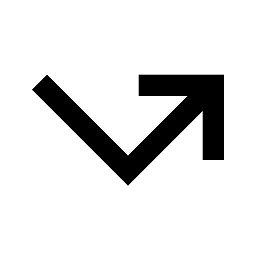 ˫