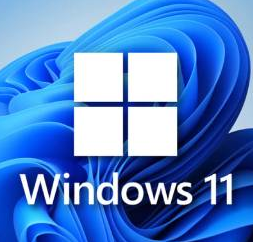 win11ʽ