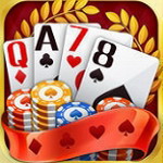 �������ֹ�������2025  v9.0.1 ƻ����