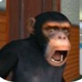 Գƽ°