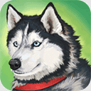 ZOOMƽ  v1.0.360 ׿