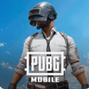 pubgƽ