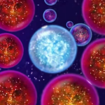 ��������2������