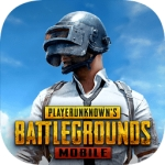 pubgmobile���ʷ�