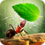 СС��Ⱥ���޽�Ұ�