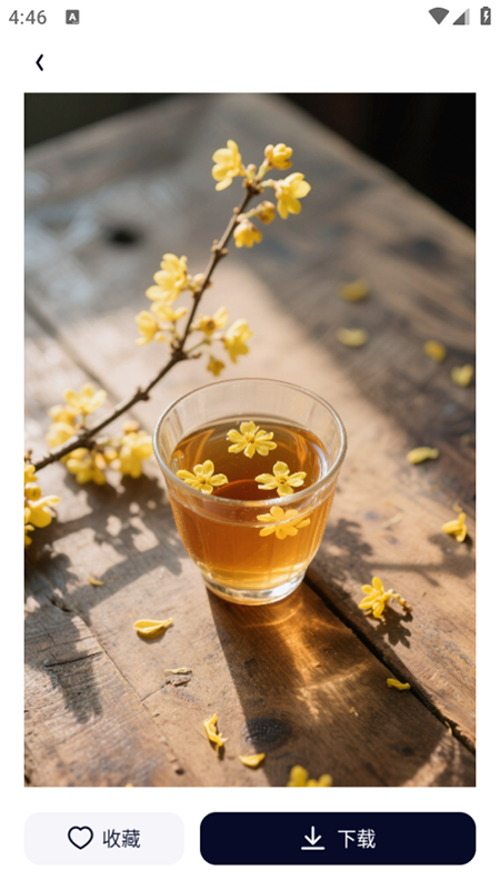 ͼ����app�ٷ�����2025���°�