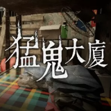 �͹������ֻ���