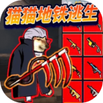 �޹��������������