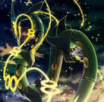 �����θ���������