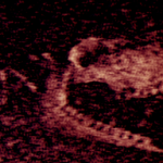 ������Ϸ�ֻ���