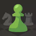 ��������chess