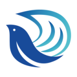 ������app