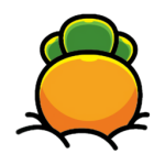 ������Ƶ������