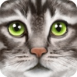 �ռ�èģ�������޾����