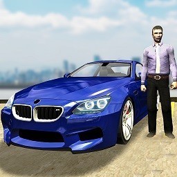 �ֶ���ͣ�������޳�Ʊ��