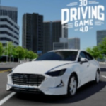 3d��ʻ�ƽ��