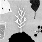 ����������֮�ΰ�׿��