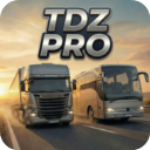 TDZ��ʻģ����������