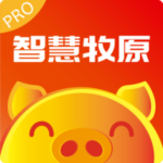 �ǻ���ԭPro