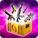 ����ģ����csgo�ֻ���