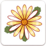 �¾��ڼ�¼
