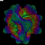 �ֻ���Ģ��volumeshader����