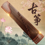 ���ݴ�ʦ