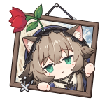 MaaMeow���շ����ֻ���