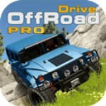 ԽҰ��ʻģ����רҵ��  v0.95 ���İ�