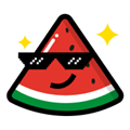 ���������ֽAPP