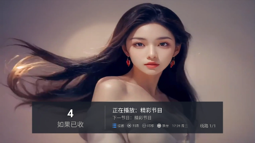 a3
