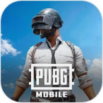 pubg���ʷ�����