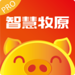 �ǻ���ԭPro
