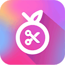 ������Ƶ����app